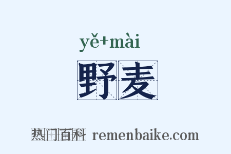 野麦是什么意思的图片